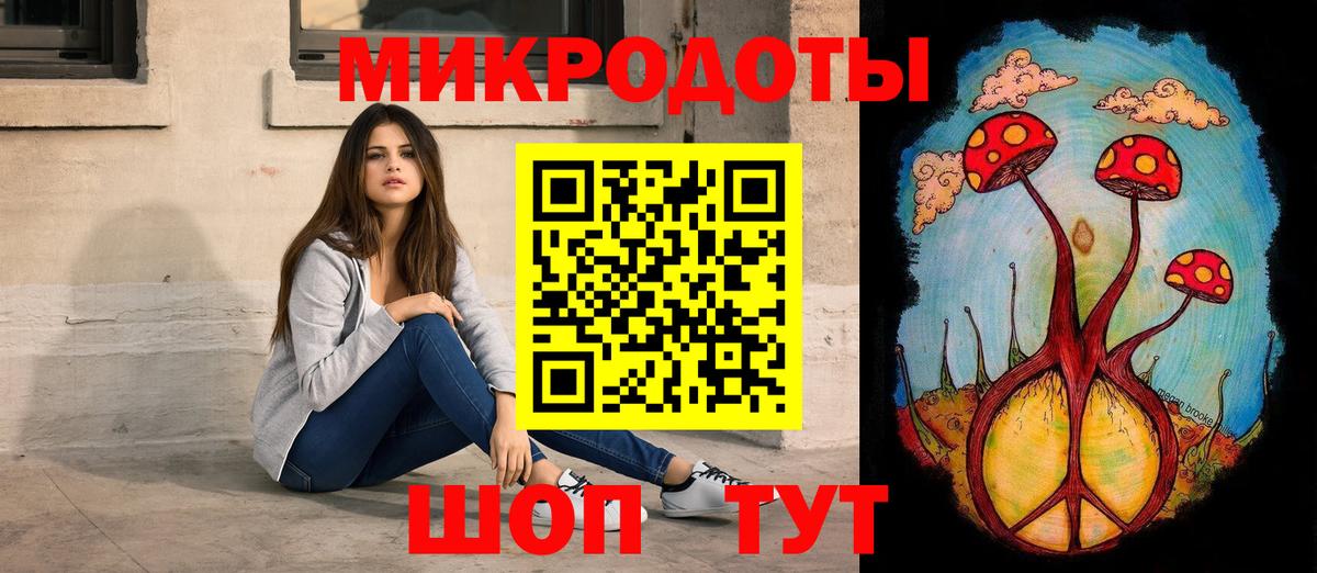 Псилоцибиновые грибы Psilocybe Назрань