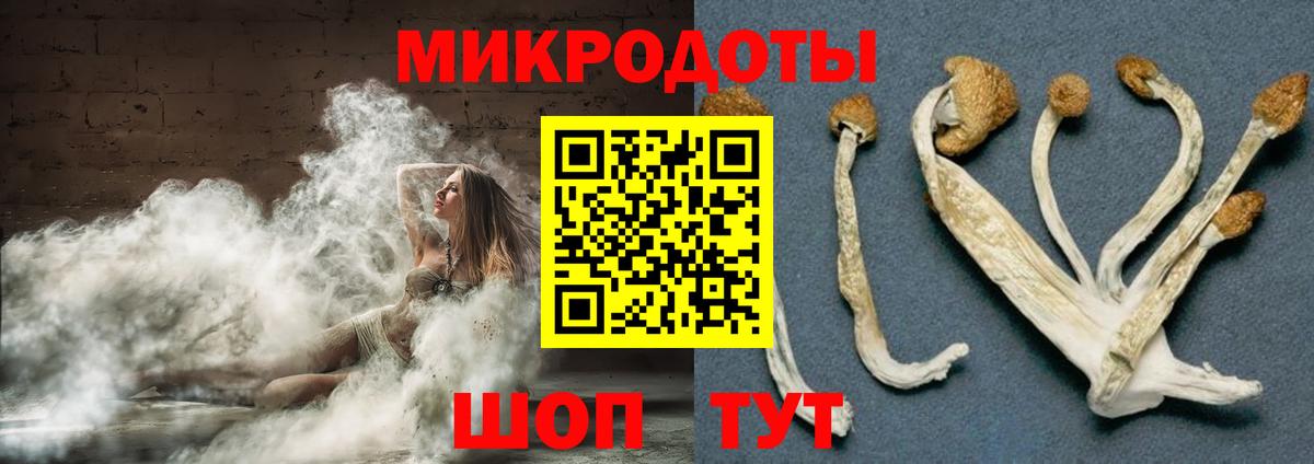Псилоцибиновые грибы Psilocybine cubensis  Вход с VPN  Псилоцибиновые грибы мухоморы  Назрань 